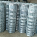 /msite/products/detail/productid/56264782/id/542368.html
